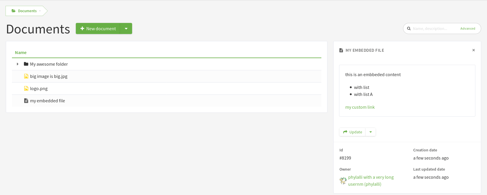 preview of an embedded file